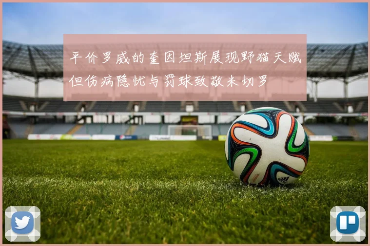 平价罗威的奎因坦斯展现野猫天赋但伤病隐忧与罚球致敬米切罗